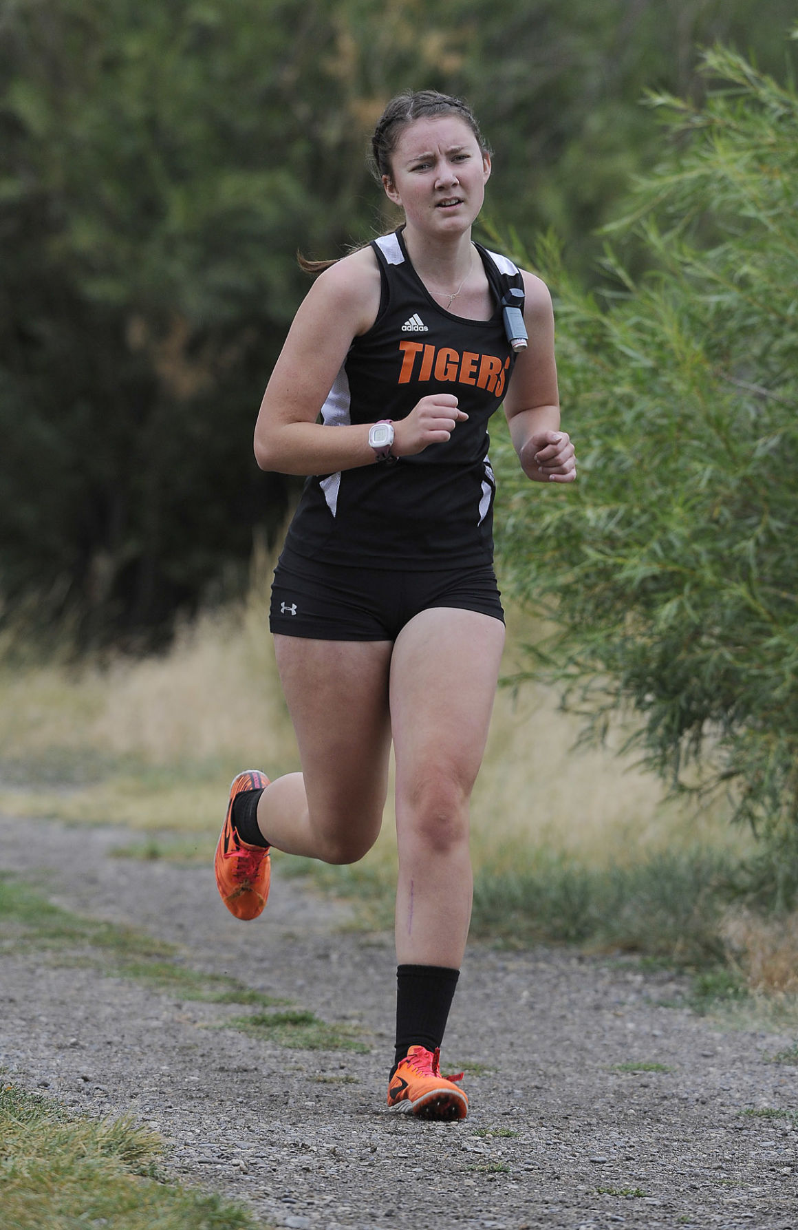 Steele Runs